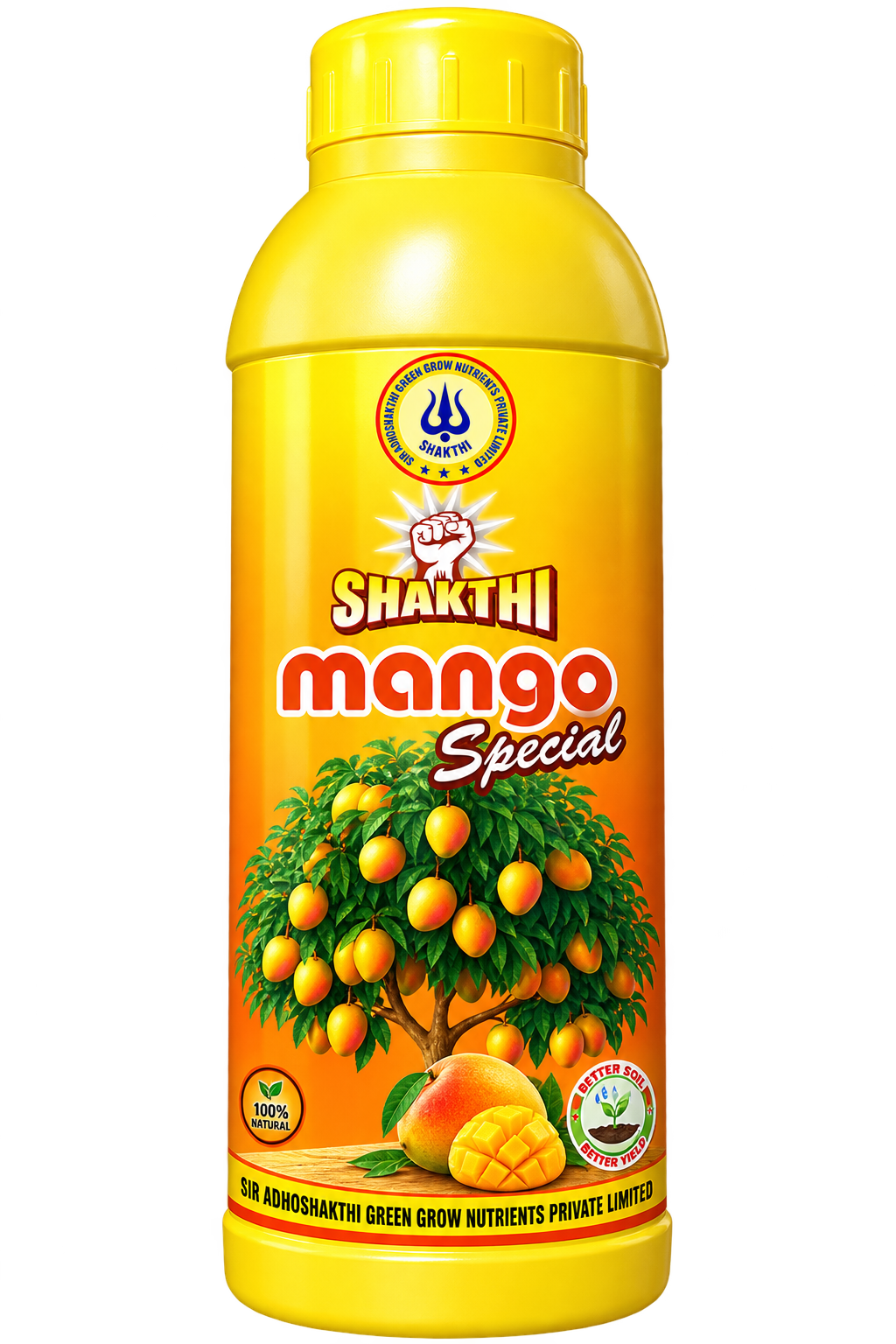 Shakthi Mango Special product package