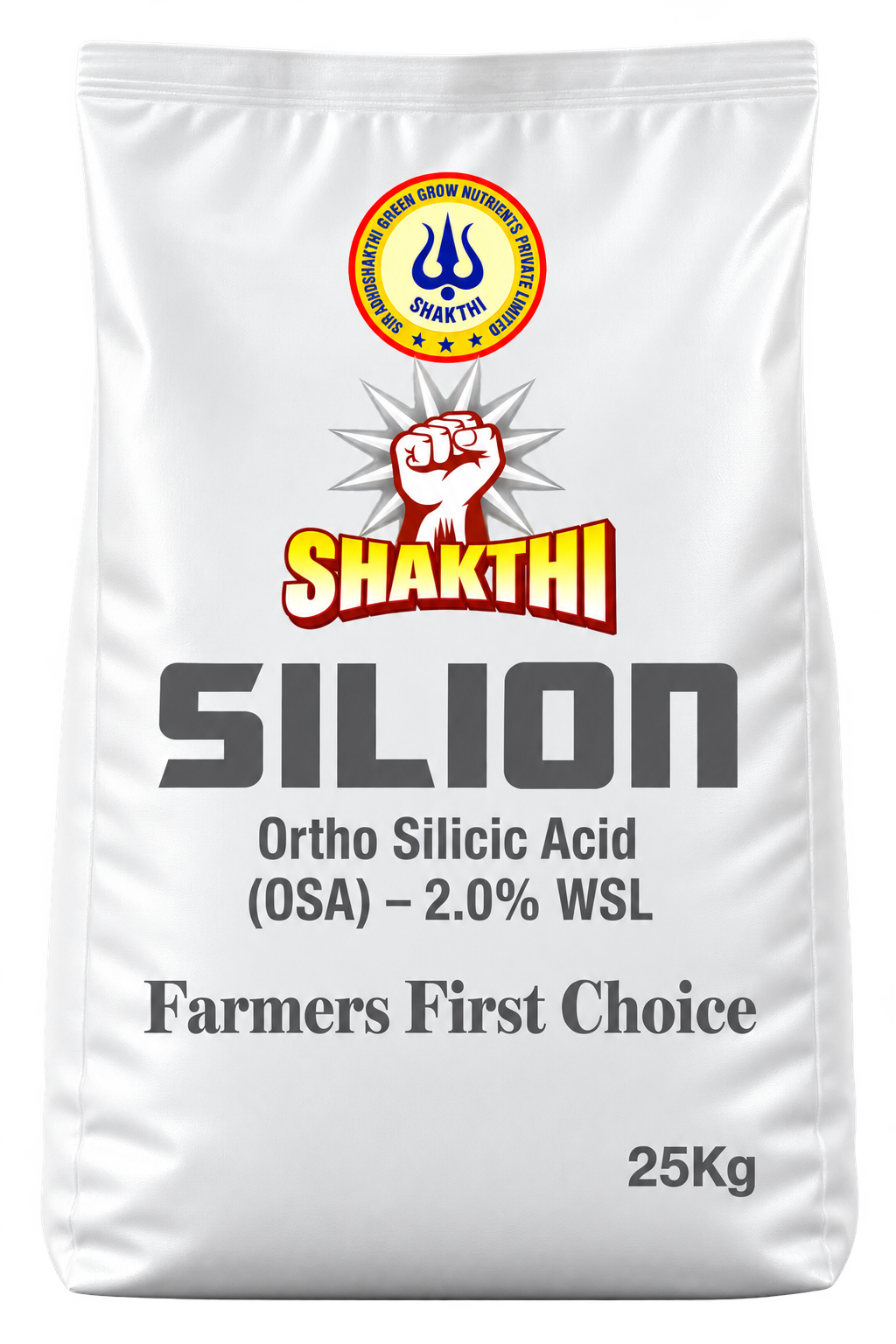 Silicon